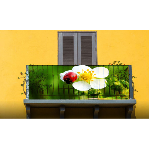 70% light transmission